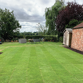 Large lawn garden. With a hedge, tress and seating in the background.